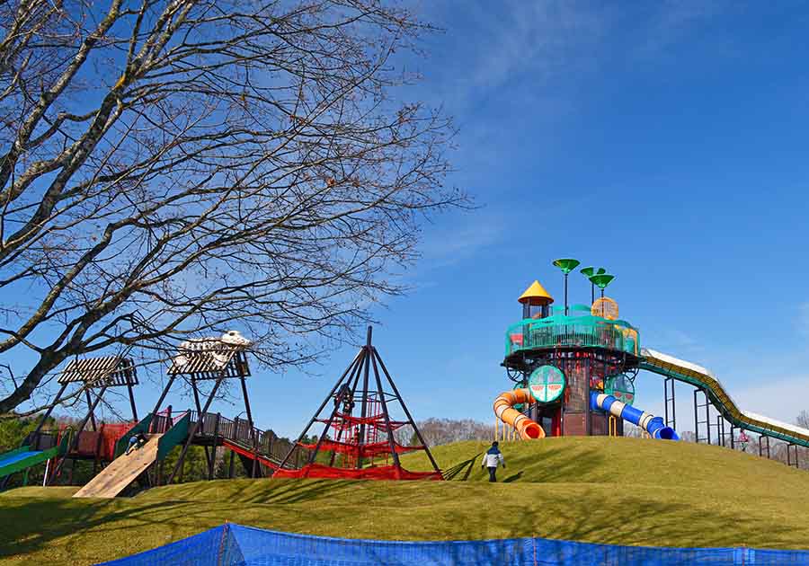 里見が丘公園の画像