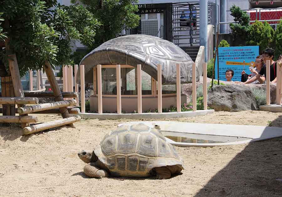 東山動植物園公園（ゾウガメ　ビューイングシェルター）