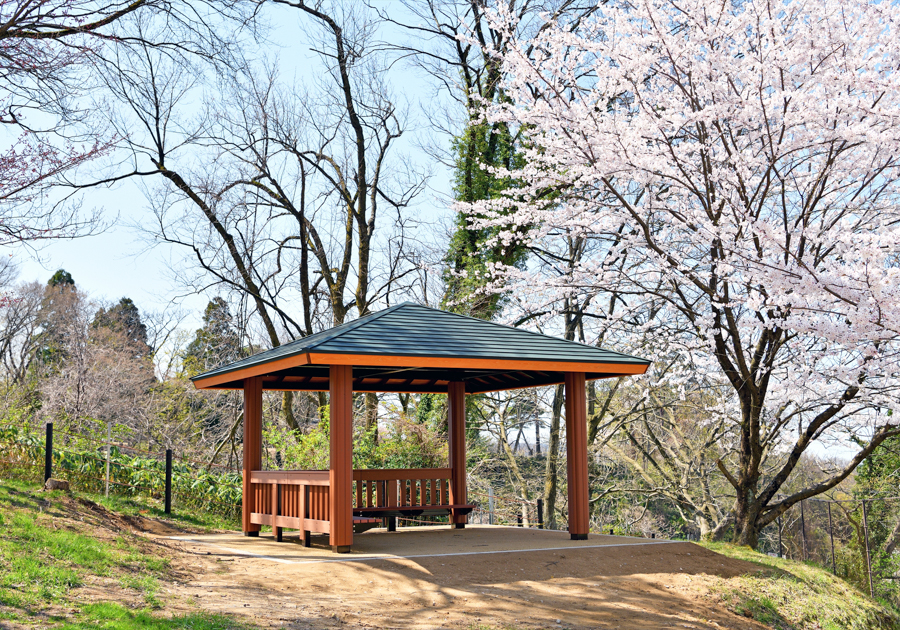 奥卯辰山健民公園
の画像