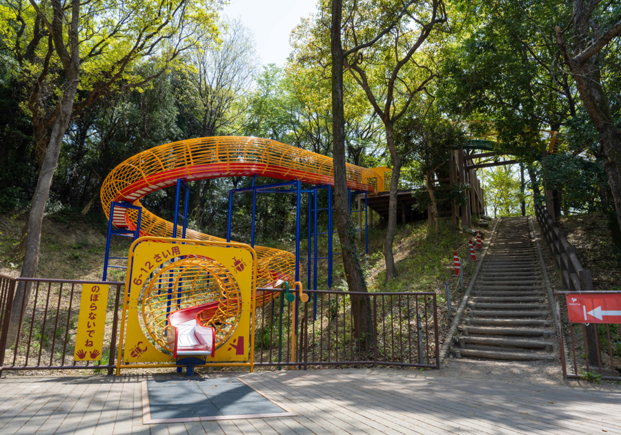 あいち健康の森公園 子どもの森の画像