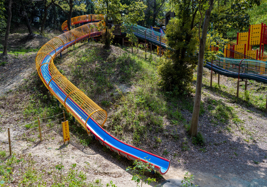 あいち健康の森公園 子どもの森の画像