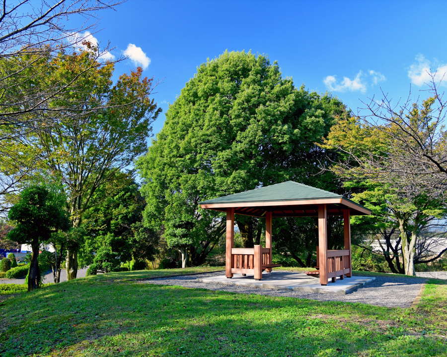 上石上公園の画像