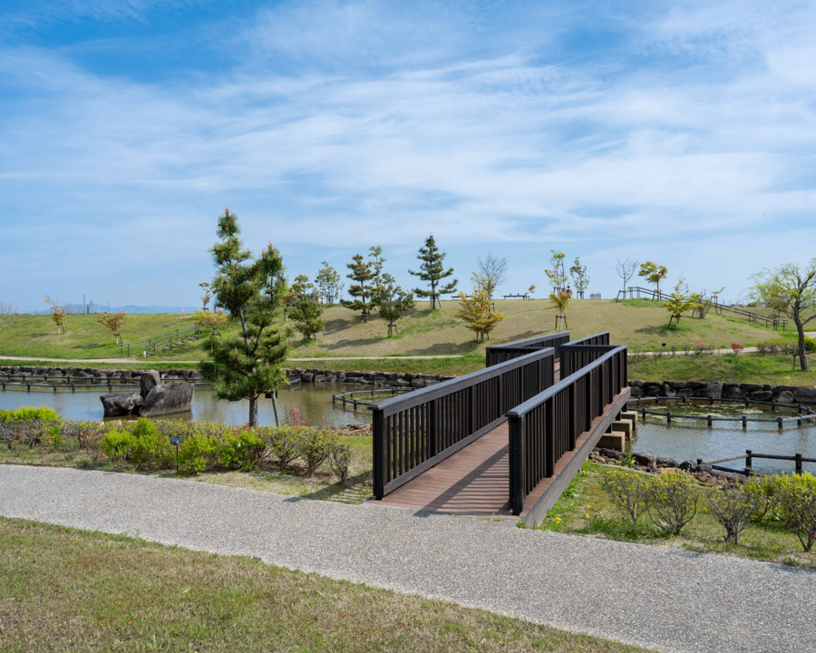 油ヶ淵水辺公園　水生花園の画像