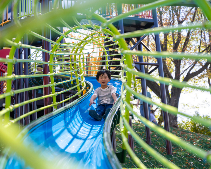 於大公園（最強忍者）の画像