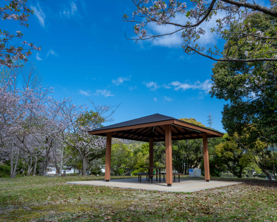 山崎運動公園の画像