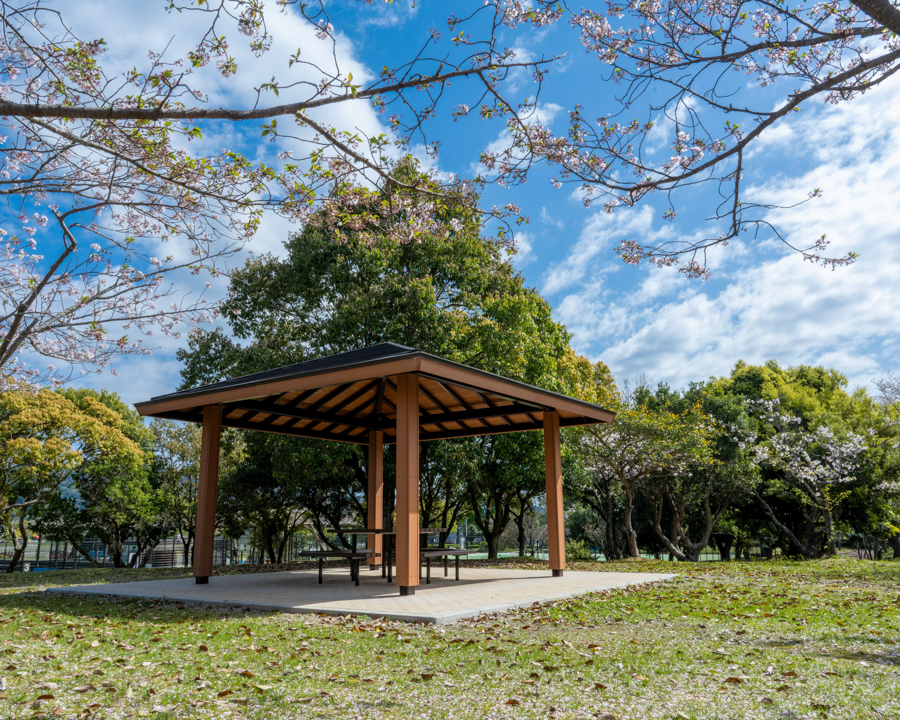 山崎運動公園の画像
