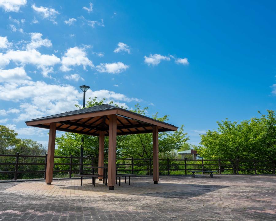 山崎運動公園の画像