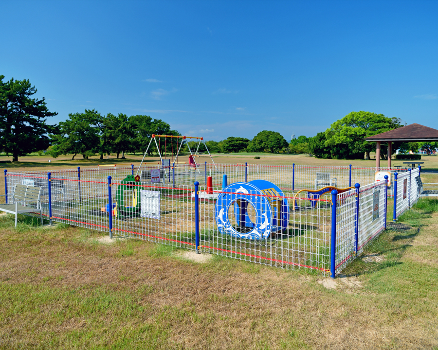 海の中道海浜公園の画像