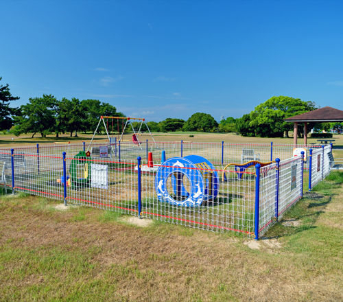 海の中道海浜公園